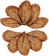 SunGrow 10 Pack Hermit Crab Large Catappa Indian Almond Leaves - Dried Leaves for Spawning, Nutrition for Isopods,