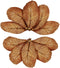 SunGrow Catappa Indian Almond Leaves, 10 Catappa Leaves, 7-8 Inches for Betta Fish Care