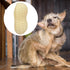 AOOOWER Realistic Talking Peanut Dog Toy with Sound Rubber Chewing Teether for Puppy Training