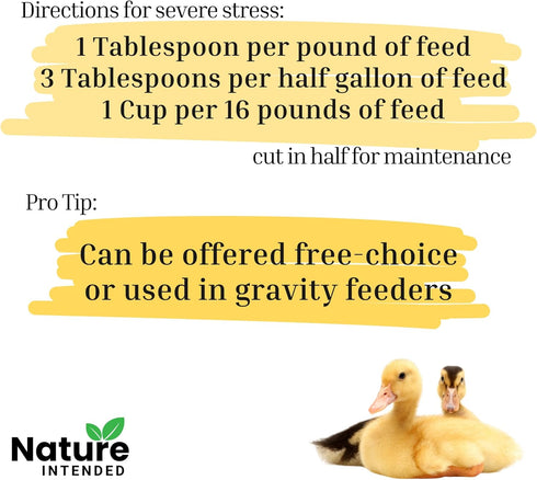 72-Ounce Brewer's Yeast + Probiotics + Niacin + Vitamins Supplement for Ducks, Chickens and Poultry. (Molt Recovery