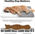 JoicyCo Extra Large Soft Dog Crate Pad Mat 48 in - Non-Slip Washable Sleeping Mattress for Pets
