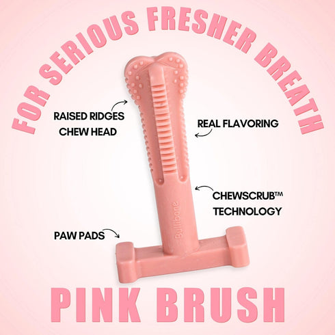 Bullibone SuperBrush Dog Toothbrush Stick, Long Lasting Nylon Chew Toy, Pink Peppermint for Oral Care