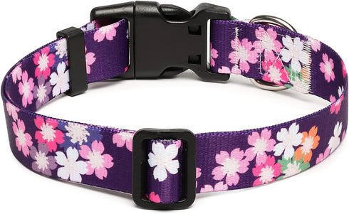 Adjustable Dog Collar - Special Design Patterns, Soft Nylon Comfortable Durable for Small Medium Large Dogs, S, Floral