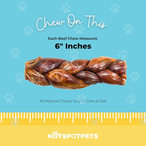 Beef Jerky Dog Treats - Gullet Esophagus Braided Sticks, All Natural Chews from Grass Fed Cattle, 12 Pack