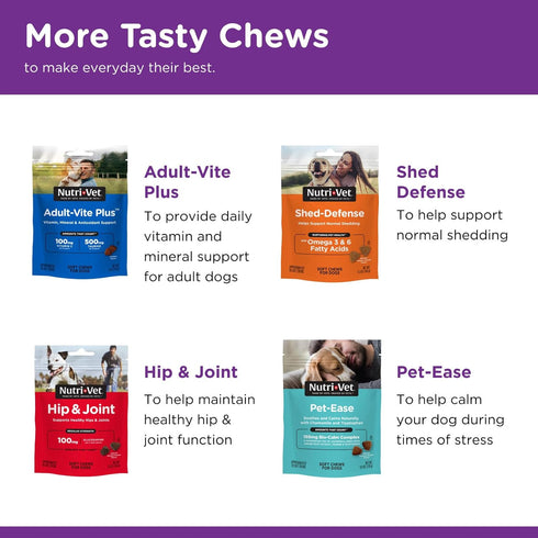 Nutri-Vet Probiotics Capsules for Dogs, Supports Digestive Health, 60 Count, Vet Formulated