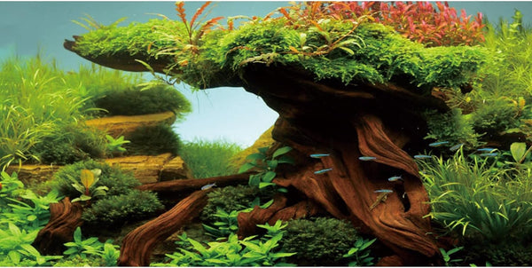 AWERT 48x24 inches Wood Fish Tank Background, Seaweed Aquarium Background River Bed & Lake Vinyl Background