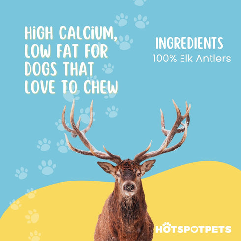 Split Elk Antlers for Small Dogs | Naturally Shed, Long-Lasting Chews for Dental Health - Made in The USA