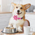 BiPawTi Medium Dog Collar, Pink Flower with Bloom Decoration, Soft Floral Girly Collar for Summer Dogs (M)