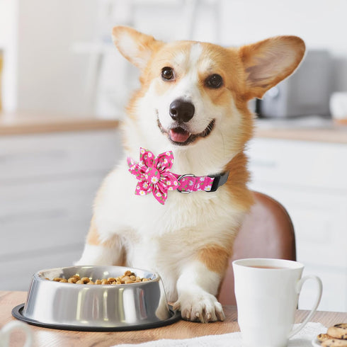 BiPawTi Flower Dog Collar, Soft Small Girl Dog Collar with Floral Patterns Decoration, Cute Daisy Dog Collars for Dogs Puppy, Summer Dog Collar Boy Girl Female Male Pet (Pink, S)