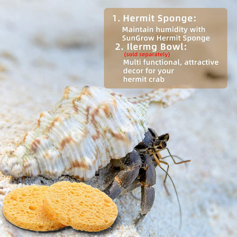 12 Pieces Hermit Crab Sea Sponges - Unbleached Supplies for Maintaining Tank Humidity - Pet Accessories Providing