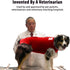 Healing Skin Treatment Onesie for Dogs - Medium, Solid Red, Veterinary Dermatology