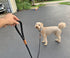 6 FT Rope Dog Leash, Soft Strong Braided Leash with Leather Tailor Connection, Pet Leash for Small Medium Large Dogs