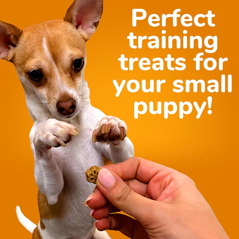 Fruitables Skinny Mini Dog Treats – Low Calorie, Healthy Training Treats – Apple Bacon – 5 Ounces, Wheat, Corn, Soy Free