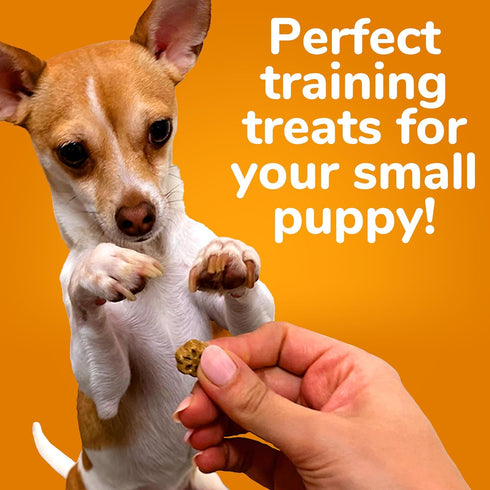 Fruitables Skinny Mini Dog Treats, Healthy Soft Training Treats, Pumpkin & Berry Flavor, 5 Ounces