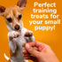 Fruitables Skinny Mini Dog Treats, Healthy Soft Training Treats, Pumpkin & Berry Flavor, 5 Ounces