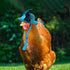 6 Pieces Chicken Hats for Hens, Costumes for Chickens and Small Animals, Tiny Hats and Doll Accessories