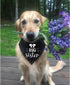 Big Sister Dog Bandana Collar, Pregnancy Announcement Dog Bandana, Strong D-Ring for Easy Leash Attached Gender Reveal Dog Bandana, Adjustable Dog Collar with Quick Release Buckle for Dogs Cats