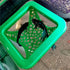 Bingche 2pcs 3-in-1 Hammock Aquarium Floating Cave Fish Shrimp Hideout Shelter Feeding Ring and Resting Spot(Green)