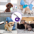 Pet Grooming Loop for Dogs - Adjustable Nylon Restraint Noose for Grooming Arm & Table - 5 Pack