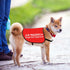 JXGZSO Nervous Do Not Approach Dog Jacket Vest, Nervous Rescue Space Dog Vest with Warning Slogan (Training approach M)