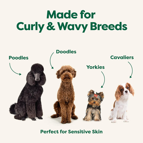 3-in-1 98.5% 16 oz Earth Rated Dog Detangler Shampoo & Conditioner, Hypoallergenic for Dogs & Puppies, Deodorizing
