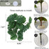 Fake Reptile Plants for Reptile Terrarium Plants, Reptile Plant Décor, Turtle Tank Plants with Suction Cup
