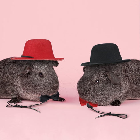 8 Pieces Guinea Pig Clothes, 4 Sets Bow Ties, Pet Hats, Kawaii Black Hat Outfit for Hamster, Ferret, Cat, Puppy