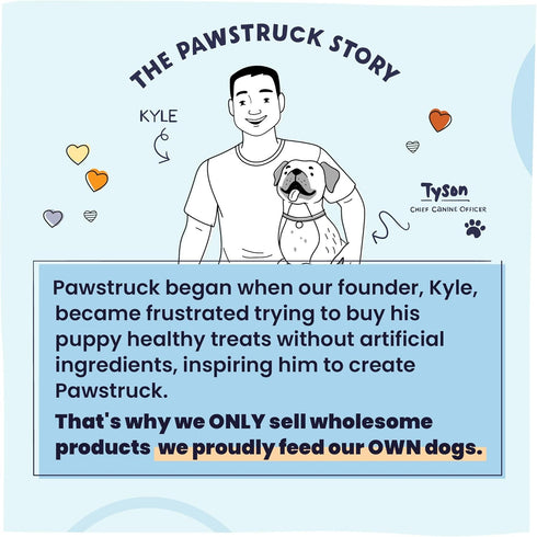 Pawstruck All Natural Air Dried Dog Food with Real Chicken - Grain Free, Made in USA, Non-GMO, High Protein Limited