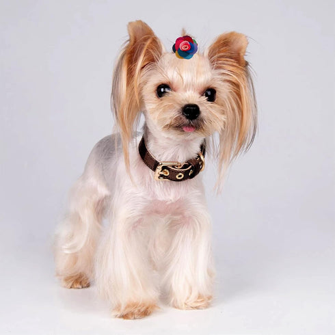 24pcs/12pairs Dog Hair Flowers with Rubber Band for Puppy Small Medium Animals, Mixed Color Grooming Accessories