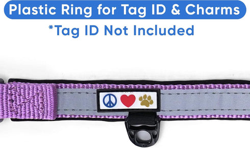 Pawtitas Lumberjack Padded Martingale Collar for Dogs, Soft Neoprene with Reflective Band, Medium Orchid
