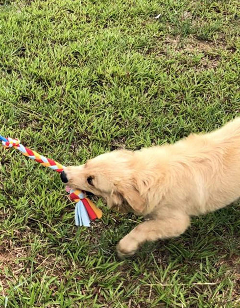 Dewonch Dog Fleece Rope Teaser Toy, Replacement for Chase and Tug (A-2PCS)