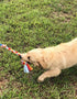 Dewonch Dog Fleece Rope Teaser Toy, Replacement for Chase and Tug (A-2PCS)
