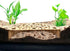 NIHUIFA Shrimp Breeding Cave with Protections Design for Aquarium Fish Tanks Habitat Decoration Trapezoid Shape