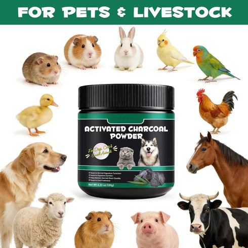 NIFEISHI 120g Activated Charcoal for Dogs & Cats Powder for Digestive Health & Normal Stool Single Ingredient, Non-GMO