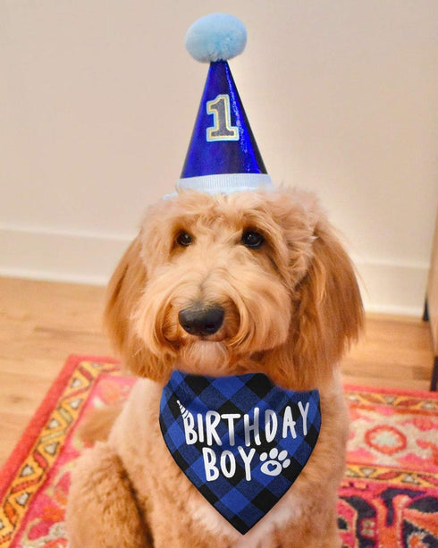 Dog Birthday Boy Bandana for Celebrating Your Pet's Special Day