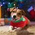 HYLYUN 2 Pack Christmas Dog Shirts - Cute Printed Puppy T-Shirt for Small Dogs and Cats Christmas Cosplay Apparel