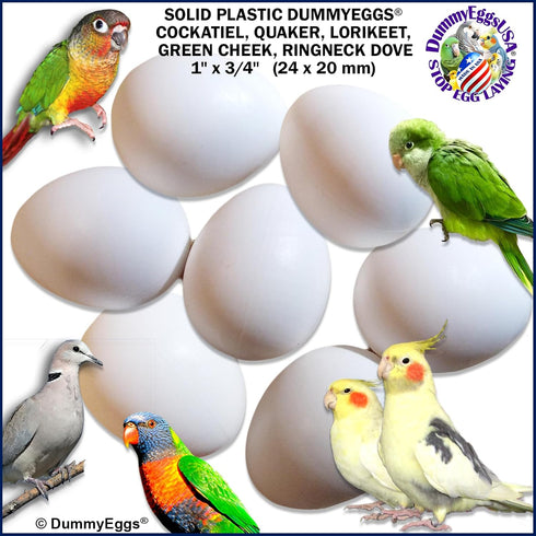 7 Dummy DummyEggs Cockatiel Bird Eggs Stop Brooding Laying! Tricks Your Bird Everytime! Solid Plastic Fake Eggs Quaker