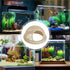 Bingche 6pcs 3-in-1 Hammock Pets(Color1) Floating Cave Fish Shrimp Hideout Shelter Feeding Ring Resting Spot for Betta