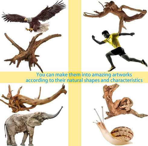 8 Pack Natural Driftwood for Aquarium | Spider Wood Freshwater Fish Tank Reptile Driftwood Branch