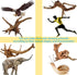 8 Pack Natural Driftwood for Aquarium | Spider Wood Freshwater Fish Tank Reptile Driftwood Branch