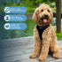 Best Pet Supplies Voyager Adjustable Dog Vest Harness - No Pull, Breathable, Reflective Stripes - Black, XS