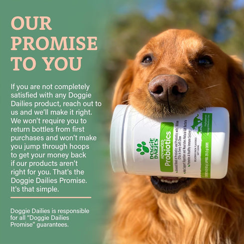 Doggie Dailies Probiotics for Dogs, Advanced Probiotics with Prebiotics, Supports Immune System and Digestive Health