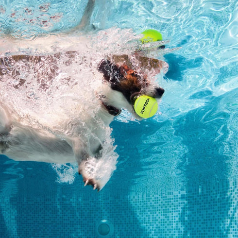 PUPTECK Squeaky Tennis Balls for Dogs, 2.5" Training Bouncy Ball Toys, 12 Packs for Fetch and Exercise