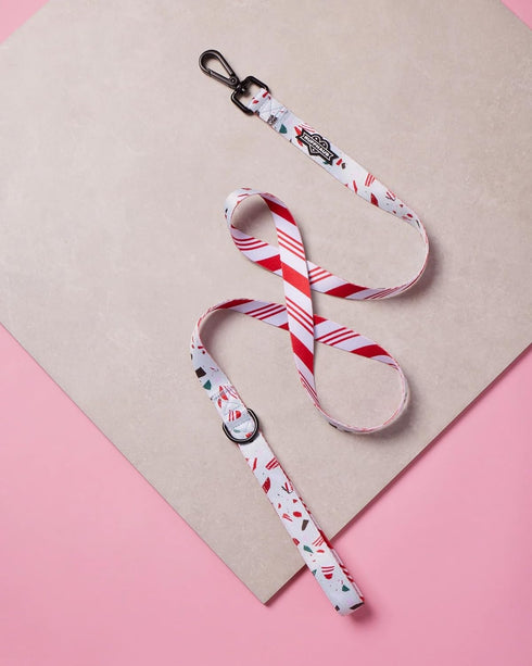 Ruffhaus NYC Peppermint Bark Christmas Print Dog Leash 1 Inch by 59 Inches, Durable Polyester Webbing, Comfortable