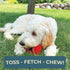 6" 3" 4" Alpha - Pacifier - Durable Long-Lasting Rubber Dog Fetch Chew Toy for Training - Choose Your Color - L W H