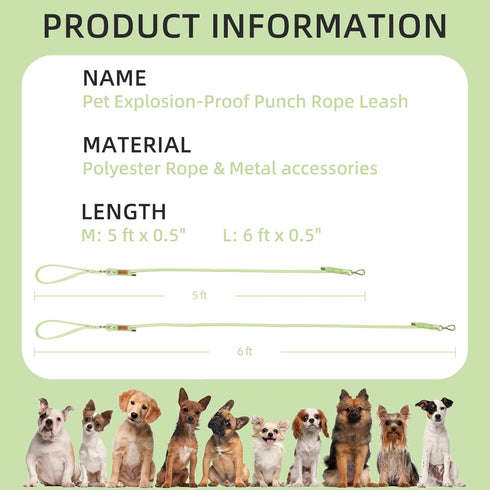 Wisedog Heavy Duty Polyester Rope Dog Leash - Soft Padded Handle, Braided Pet Leash 5 Ft/6 Ft for Small Medium Large