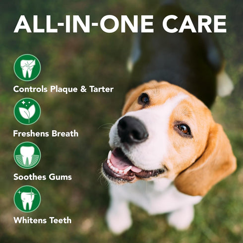 Vet’s Best Enzymatic Dog Toothpaste, 3.5 Ounces - Teeth Cleaning and Fresh Breath Dental Care Gel