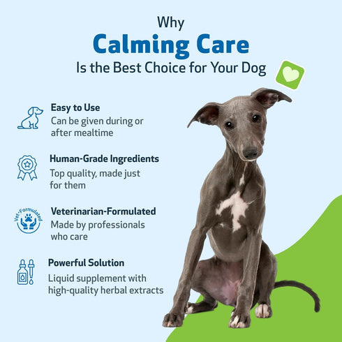 Pet Wellbeing Calming Care for Dogs - Vet-Formulated Liquid Supplement 2 oz - Ashwagandha & Holy Basil Blend
