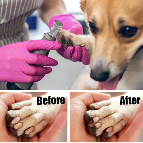 Diamond Dog Nail Grinder Bits - FOCSTOL 5pcs 1/8'' Rotary Bit for Dogs & Pets Nail Care