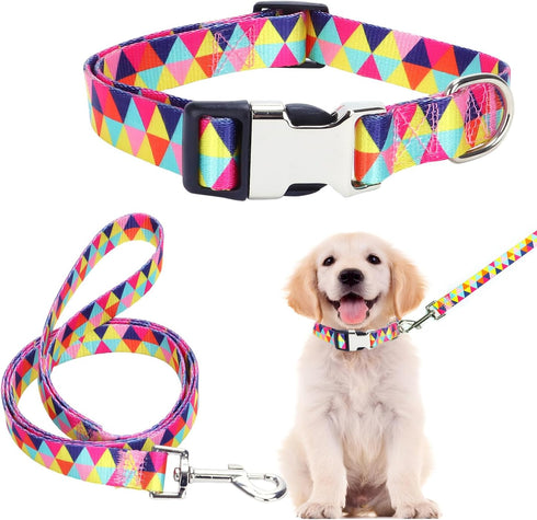 Dog Collar and Leash Set, Colorful Geometric Triangle Print for Small Medium Large Breed Female Dogs Girls, M
